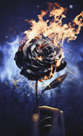 Burning Rose