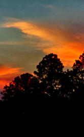 Blazing Sky