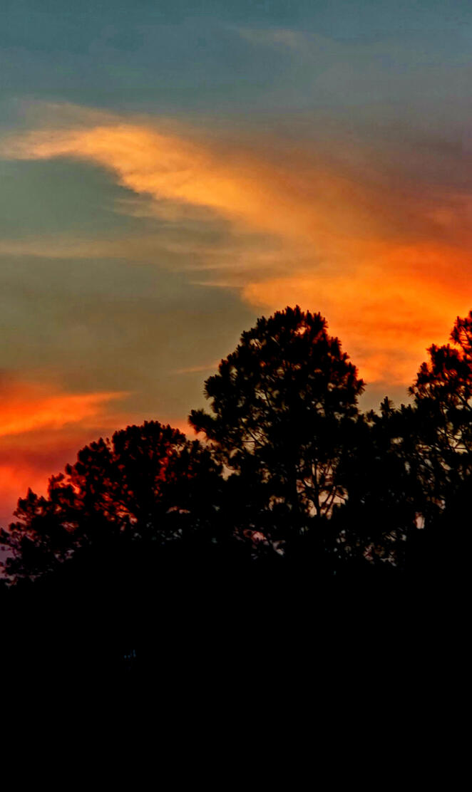 Blazing Sky