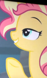 Sunset shimmer