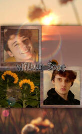 Wilbur soot
