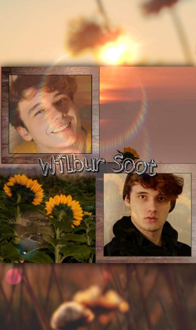 Wilbur soot