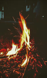 Bonfire