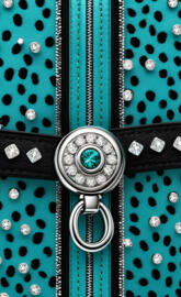 teal zipper lock screen