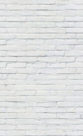 wall