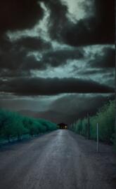 Paradise Nature 2024