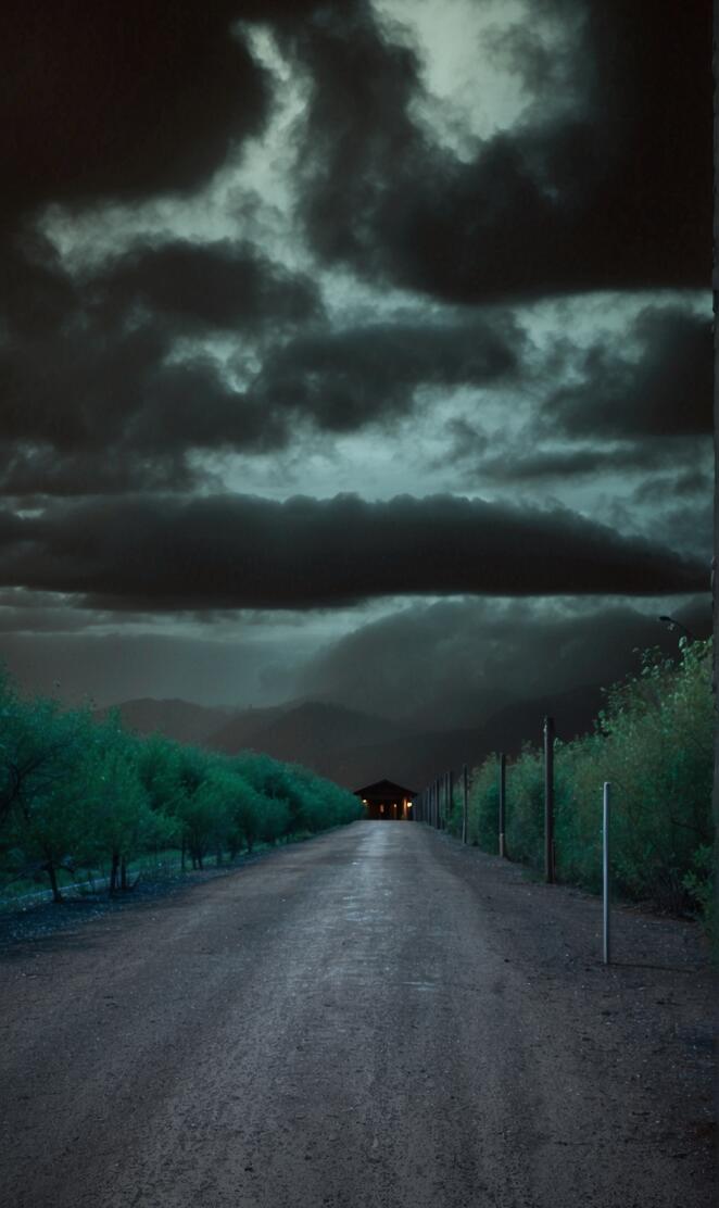 Paradise Nature 2024