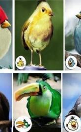 Angry Birds