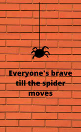 the spider moves