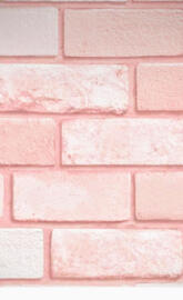 Asthetic Pink Wall