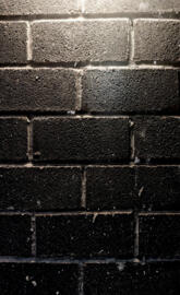Brick Wall