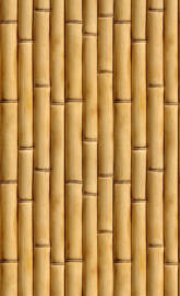 Bamboo Wall