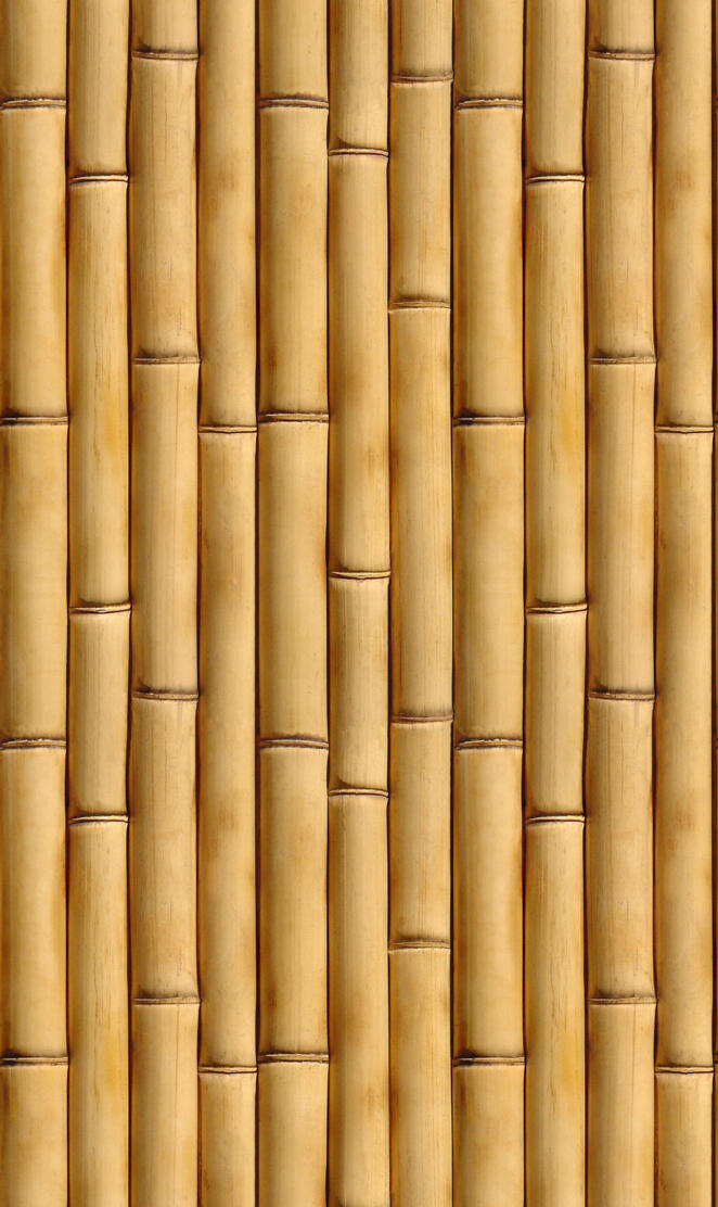 Bamboo Wall