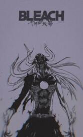Vasto lorde Bleach
