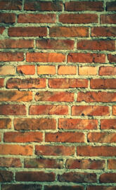 wall brick