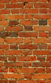 brick wall