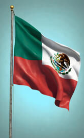 The Mexican Flag