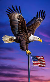 American Eagle