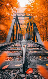 Autumn railroads