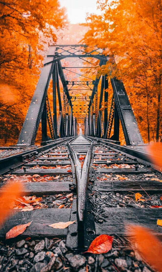 Autumn railroads