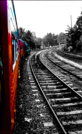 Train In Sri Lanka