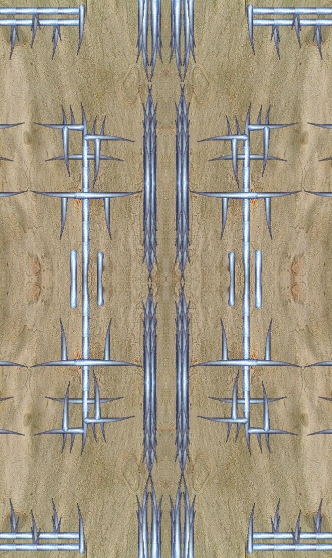 Spike Door
