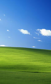 Windows XP