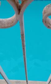 Pool view from balcony