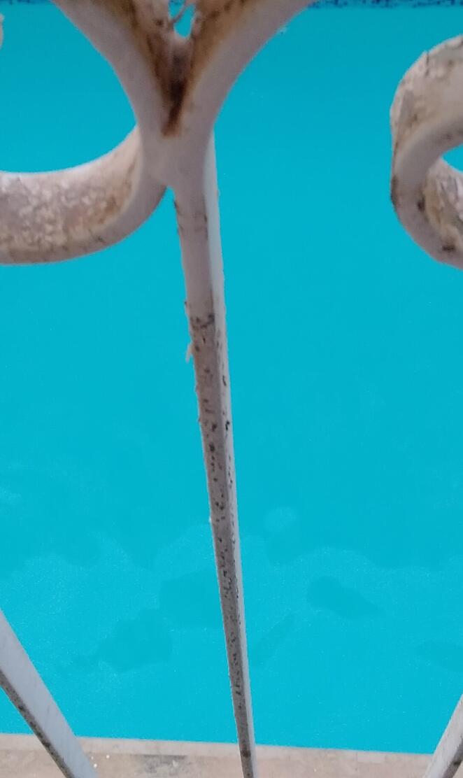 Pool view from balcony