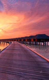 Bridge