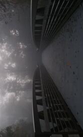 Foggy Bridge