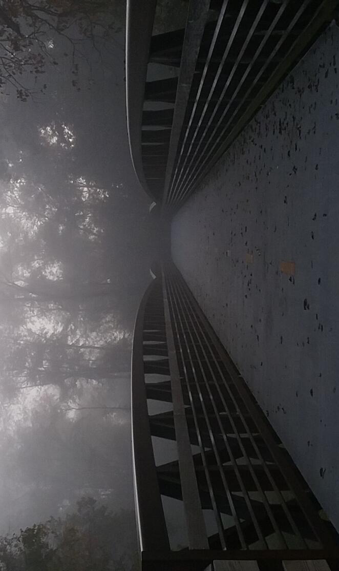 Foggy Bridge