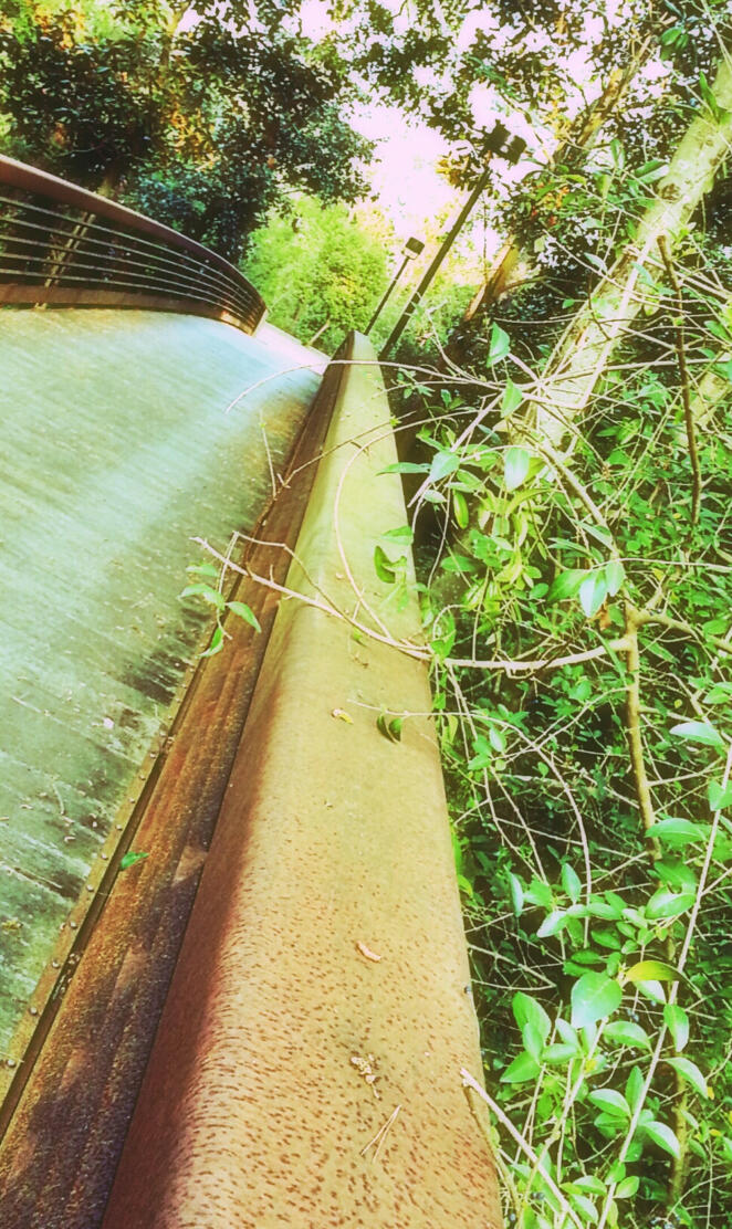 Nature Bridge