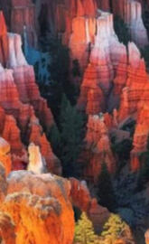 Bryce canyon