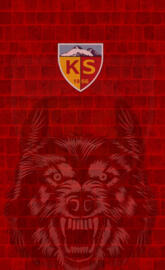 Kayserispor