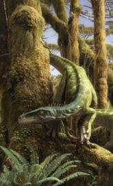 Herrerasaurus