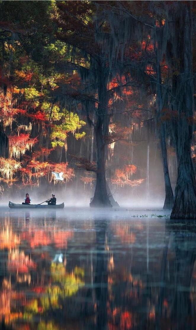 Atchafalya basin fall
