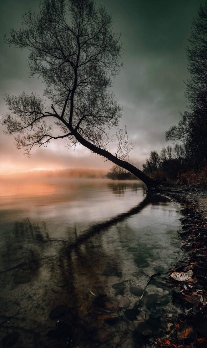 NOTE 9 - WATERnTREES