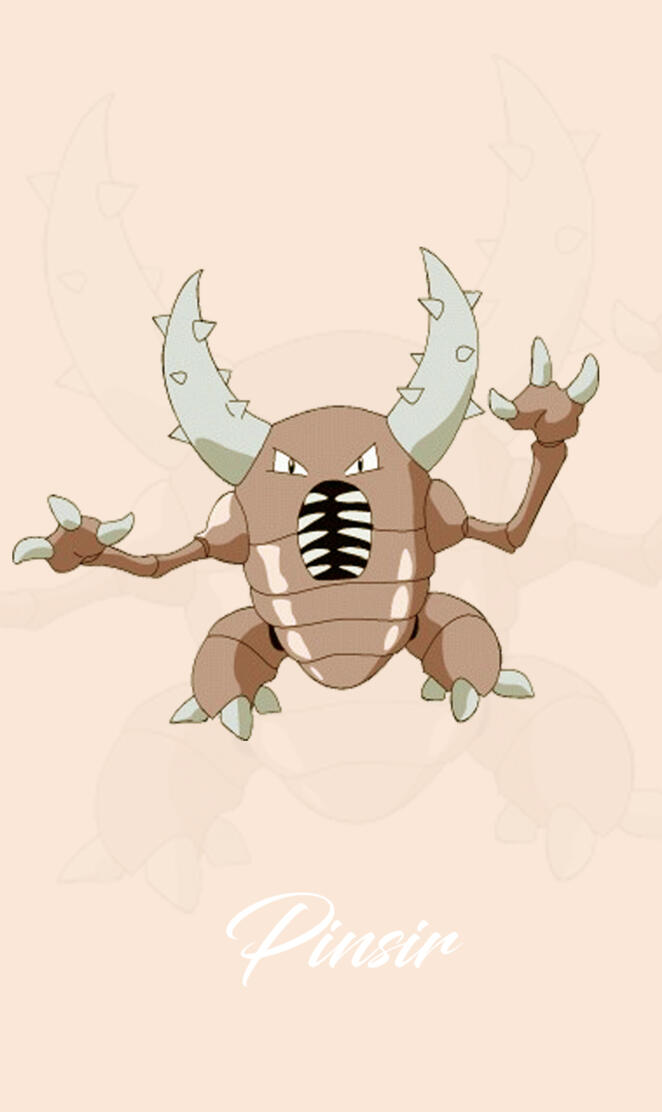 Pinsir