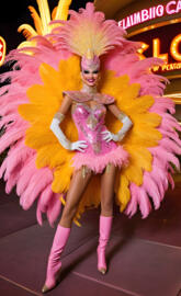 Shake a Tail Feather