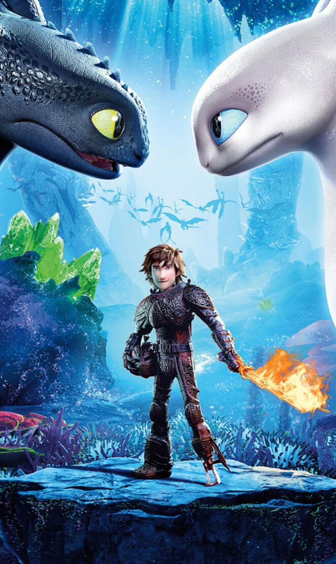 Hiccup & Toothless