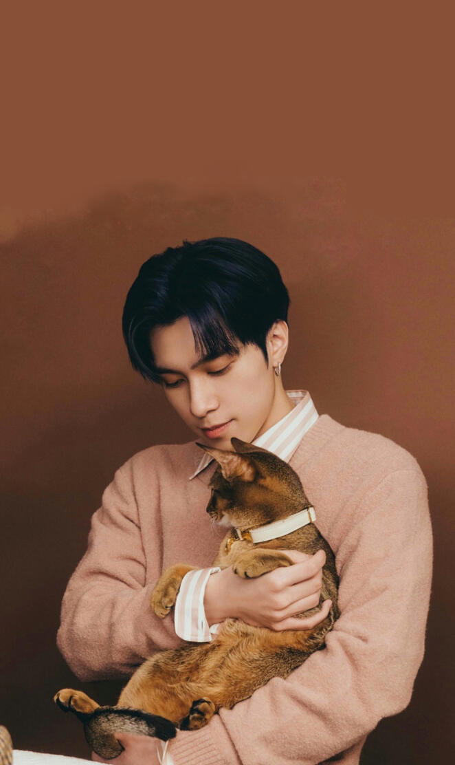 WayV Hendery