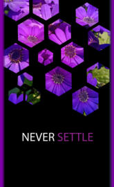 Never settle