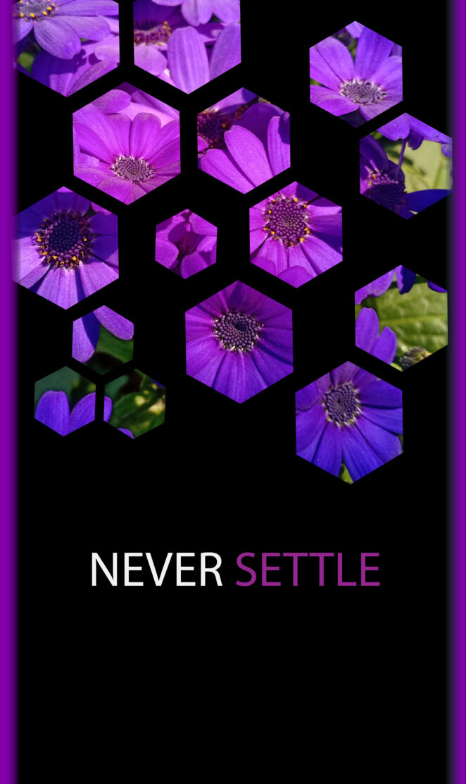 Never settle