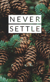 Never settle