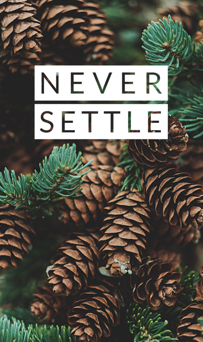 Never settle