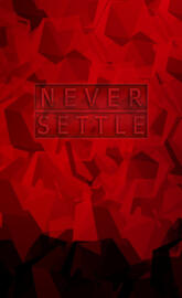 NEVER SETTLE