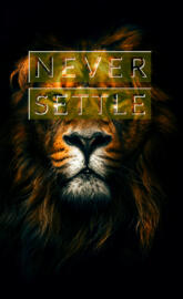 Never Settle Lion