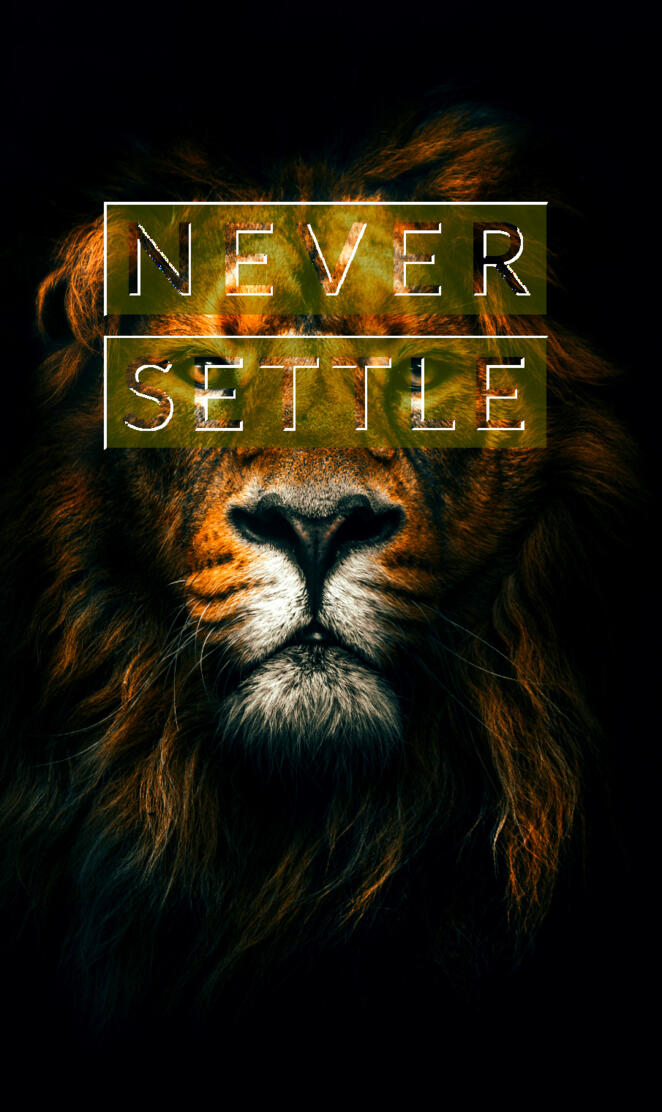 Never Settle Lion