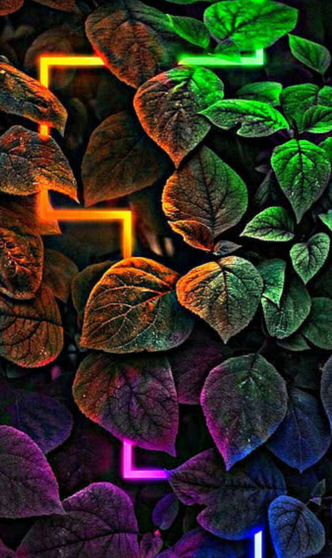 Neon Glow Nature